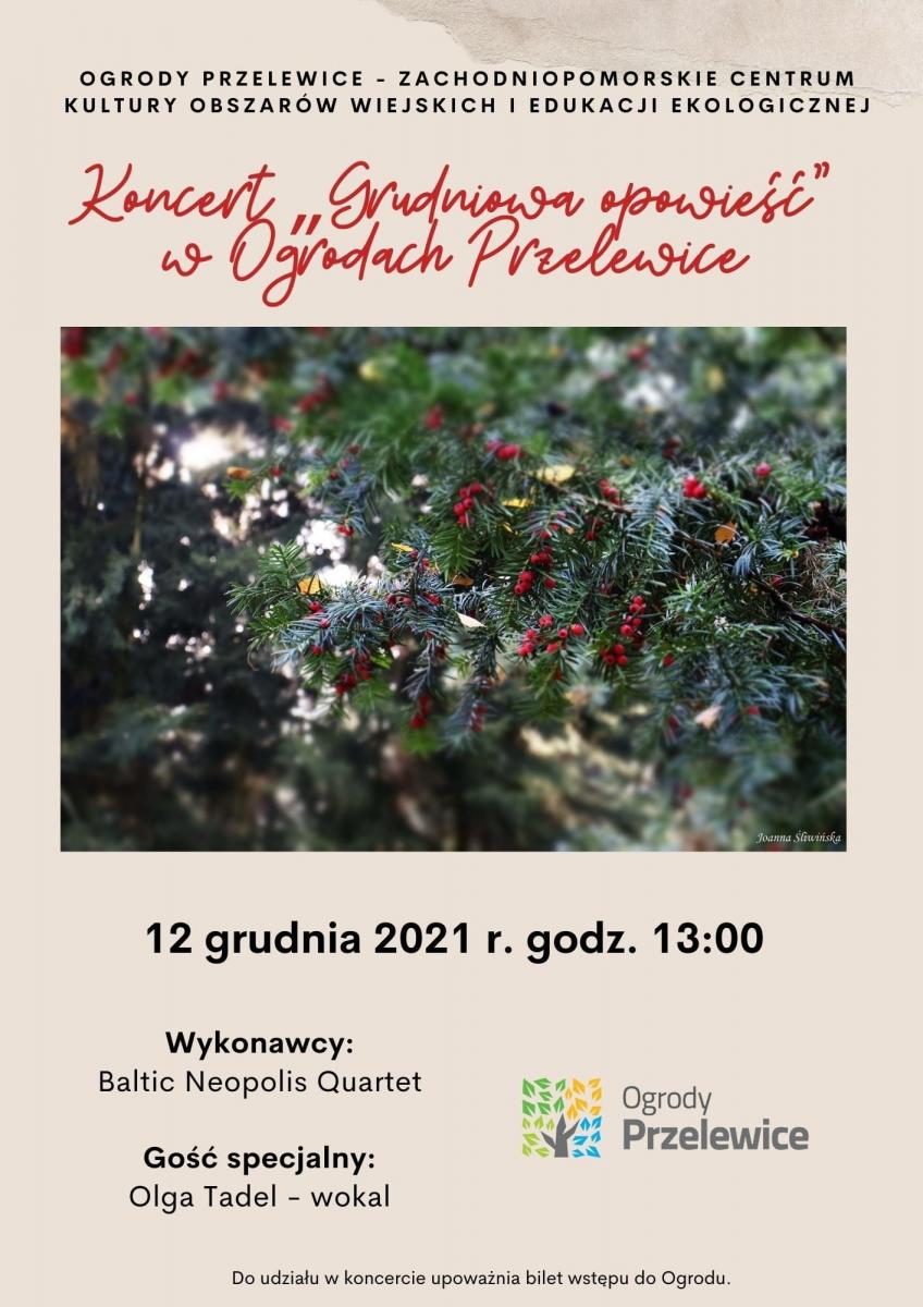 Zaproszenie na koncert w Pałacu w Przelewicach - 12.12.2021