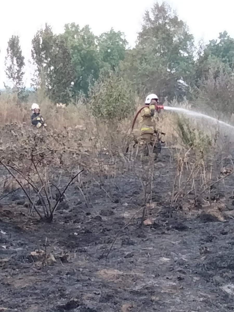 Sprawna akcja gaśnicza pożaru w pobliżu zabudowań w Żukowie